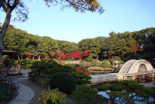 Shukkei-en Garden